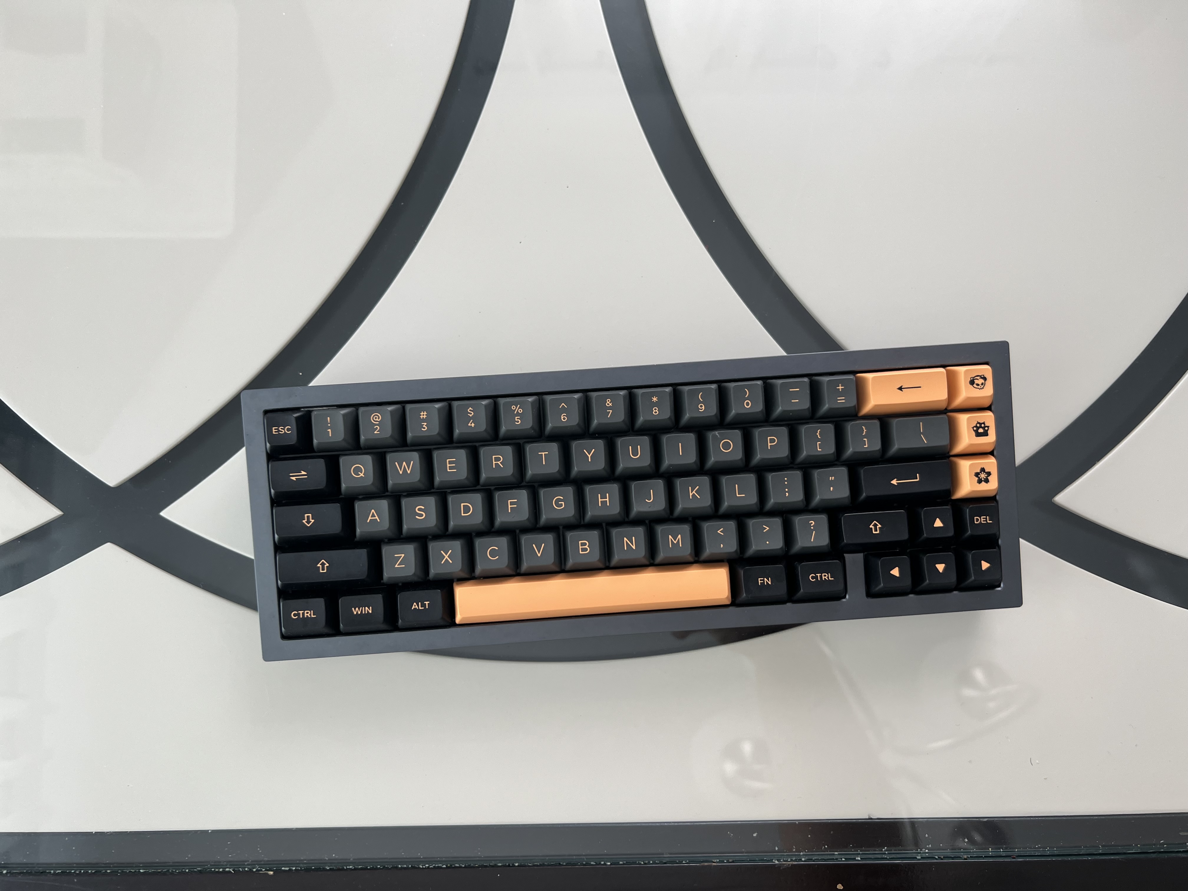 Fully Build Savage65