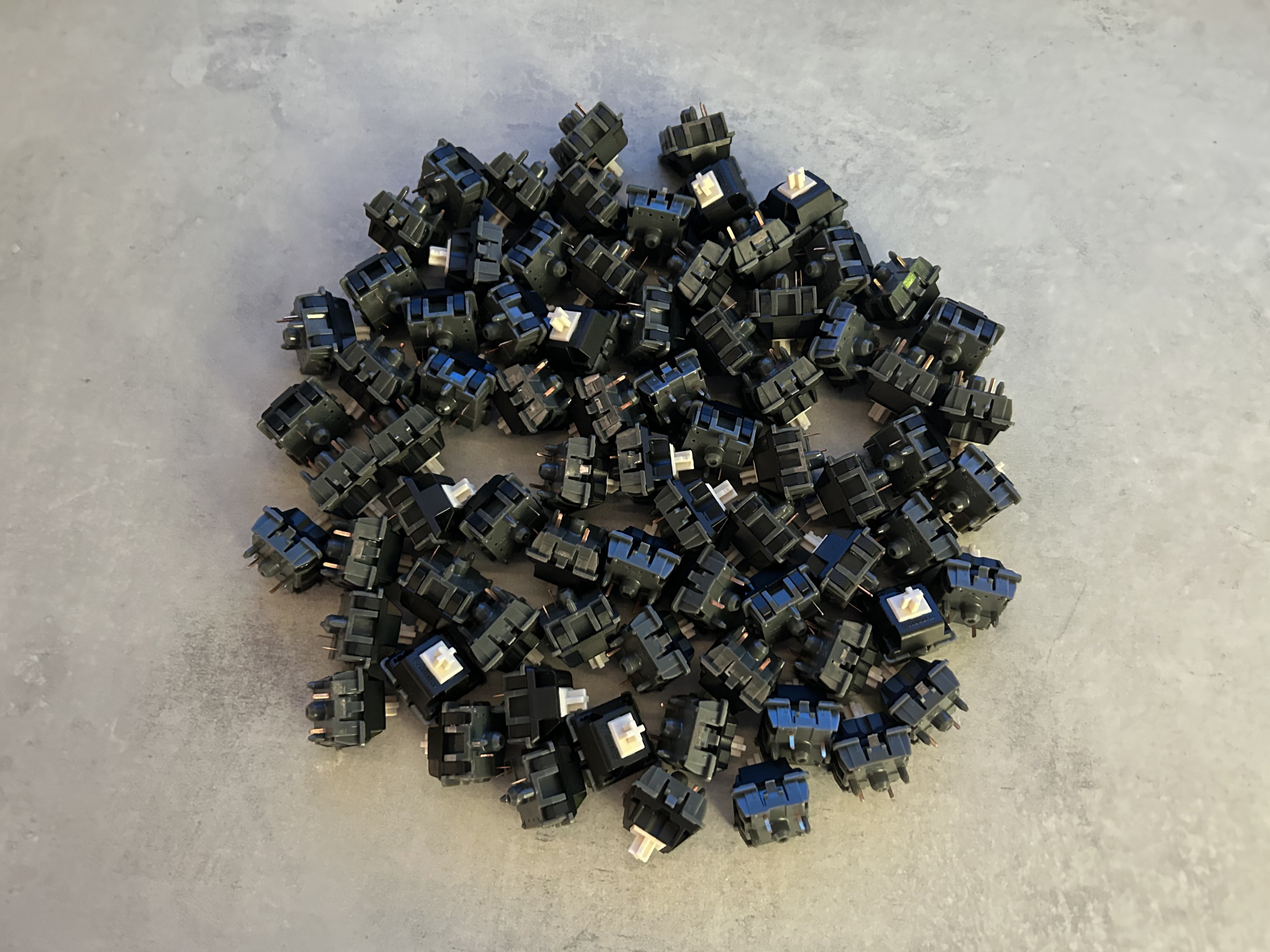 L+SS+BI BCP Switches (x77)