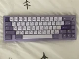 Plume65 1/3 Lilac Color fully built