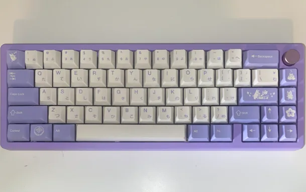 ZOOM65 LILAC