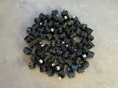 L+SS+BI BCP Switches (x77)