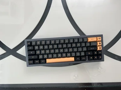 Fully Build Savage65