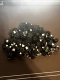 X88 Gateron Silent Clear- 40g (L)