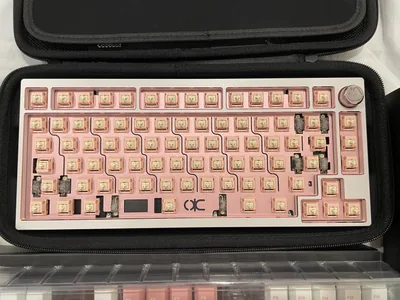 QK75 Nice Dream PVD