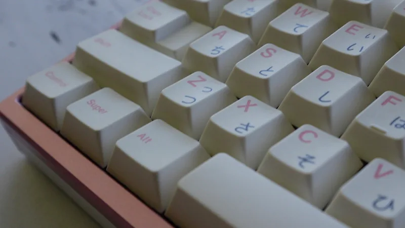 choice65