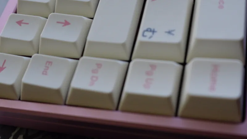 choice65