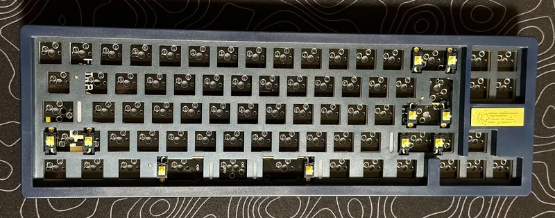 Ikki68 Aurora x Stargaze