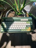 Iquinix "Camp Life" OG 80