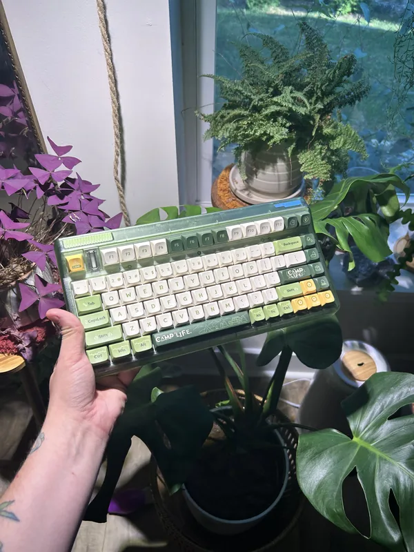 Iquinix "Camp Life" OG 80