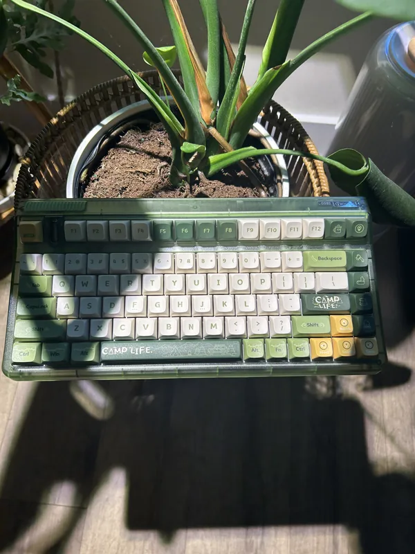 Iquinix "Camp Life" OG 80