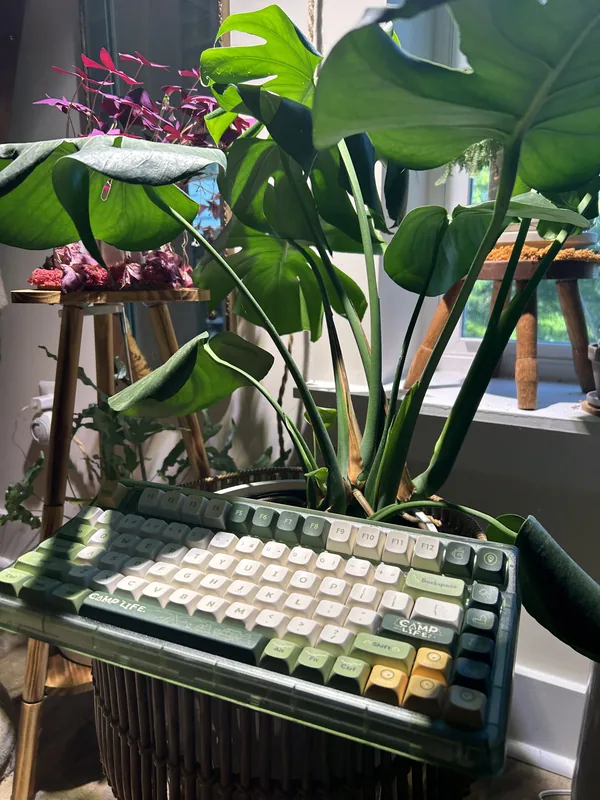 Iquinix "Camp Life" OG 80