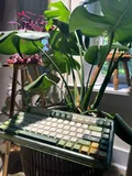 Iquinix "Camp Life" OG 80