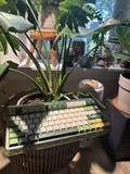 Iquinix "Camp Life" OG 80
