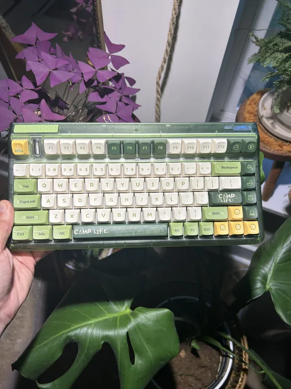 Iquinix "Camp Life" OG 80