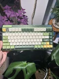 Iquinix "Camp Life" OG 80