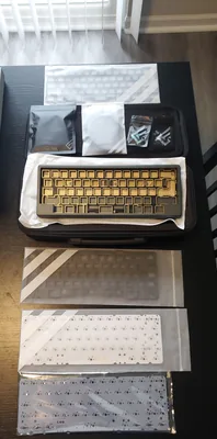 Frog Mini