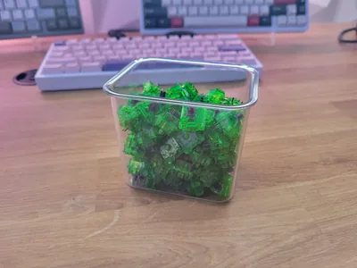 x77 Kiwi Switches
