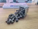 x67 Lubed Gateron Ink V2 Switches