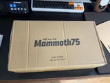 Mammoth 75 E-White / Brass Mirror PVD