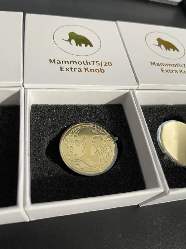 Mammoth 75 E-White / Brass Mirror PVD