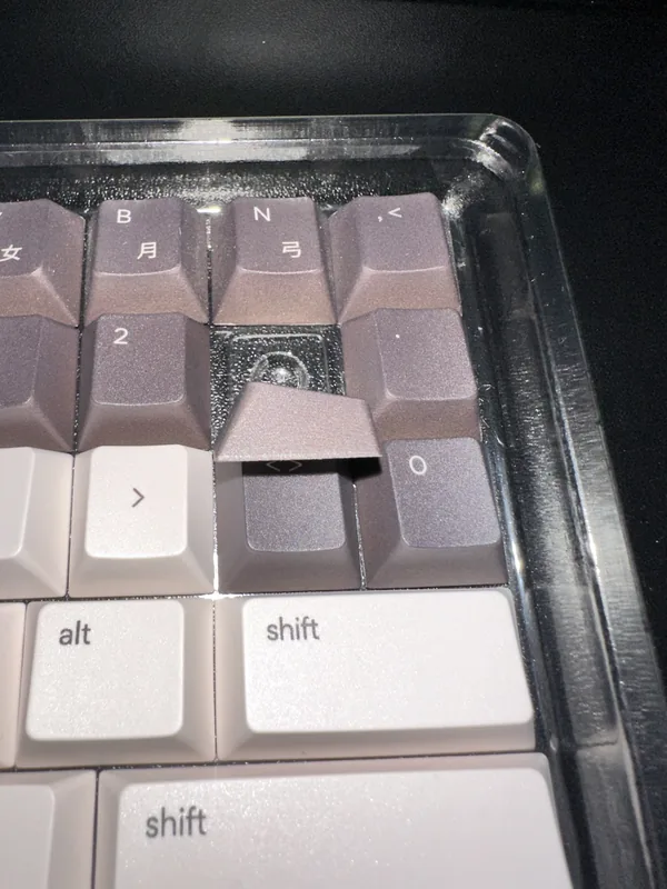 Osume Year of the Tiger