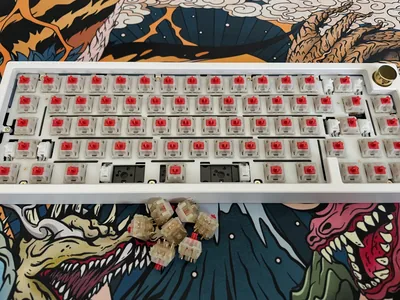 Zoom65 v2