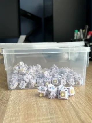 x79 Hippos (L+F+SS)