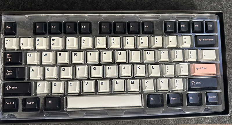 NK PBT Olivia