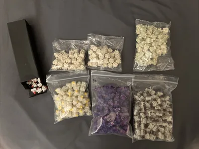 Switches - 6 Sets
