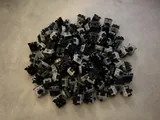 L+F+SS+BI Cherry Nixie Switches (x107)