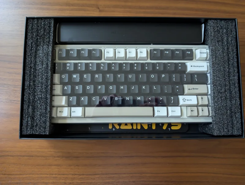 Rainy 75 pro electro-white