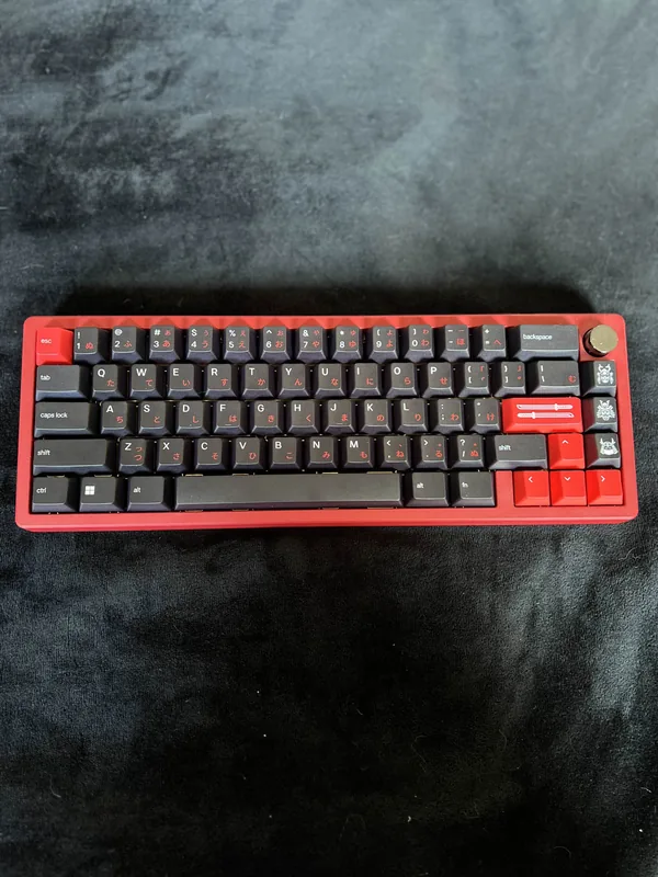 Zoom 65 v1