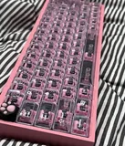 Pink Tofu 60 