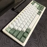 Ginkgo65 (e-white)