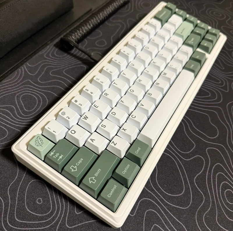 Ginkgo65 (e-white)