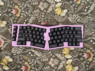 QK Neo Ergo